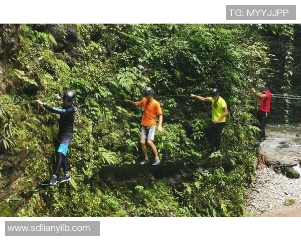攀岩深度探索：揭秘上海攀岩队的转型与发展之路
