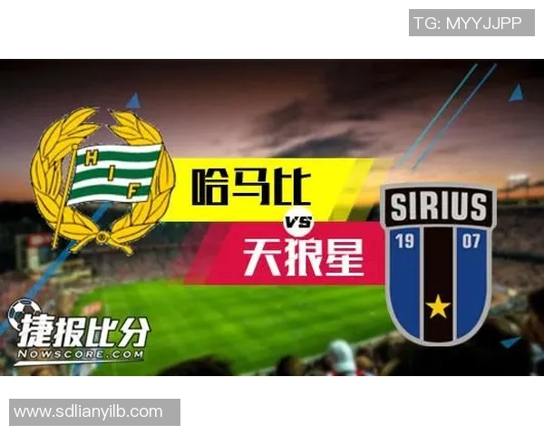 赫根对阵哈马比精彩比赛直播全程回顾与分析